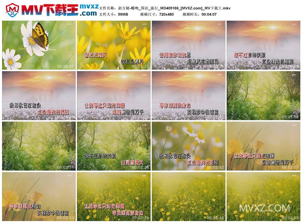 赵方婧-蝶吻_国语_流行_MD405169